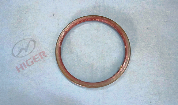 Rear hub oil seal assembly