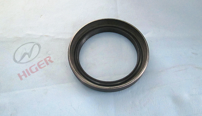 Rear hub oil seal