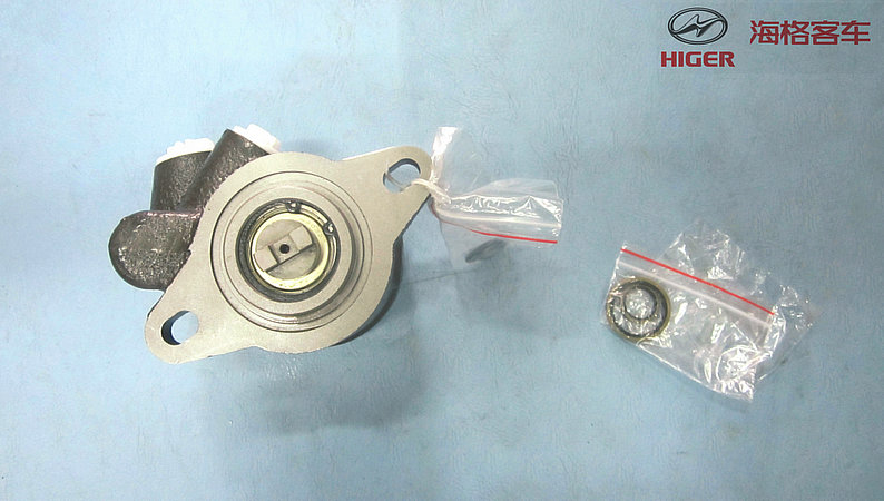 Pompe de direction-1