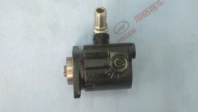 Pompe de direction électrique-1