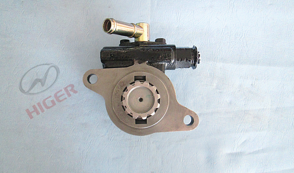 Pompe de direction électrique-1