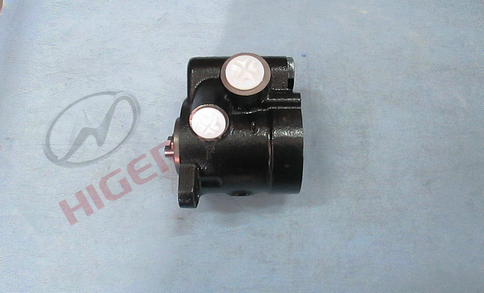 Tête de pompe à fer-1