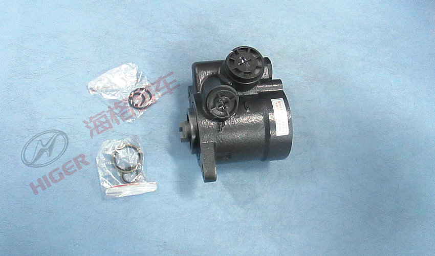 Steering pump-1