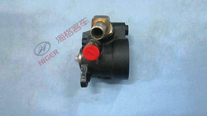 Pompe de direction électrique-1