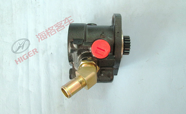 Pompe de direction électrique-1