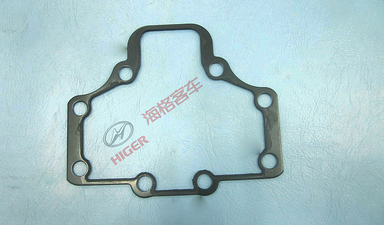 Sealing gasket