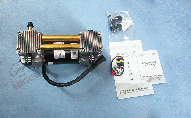 Vacuum pump (electric)