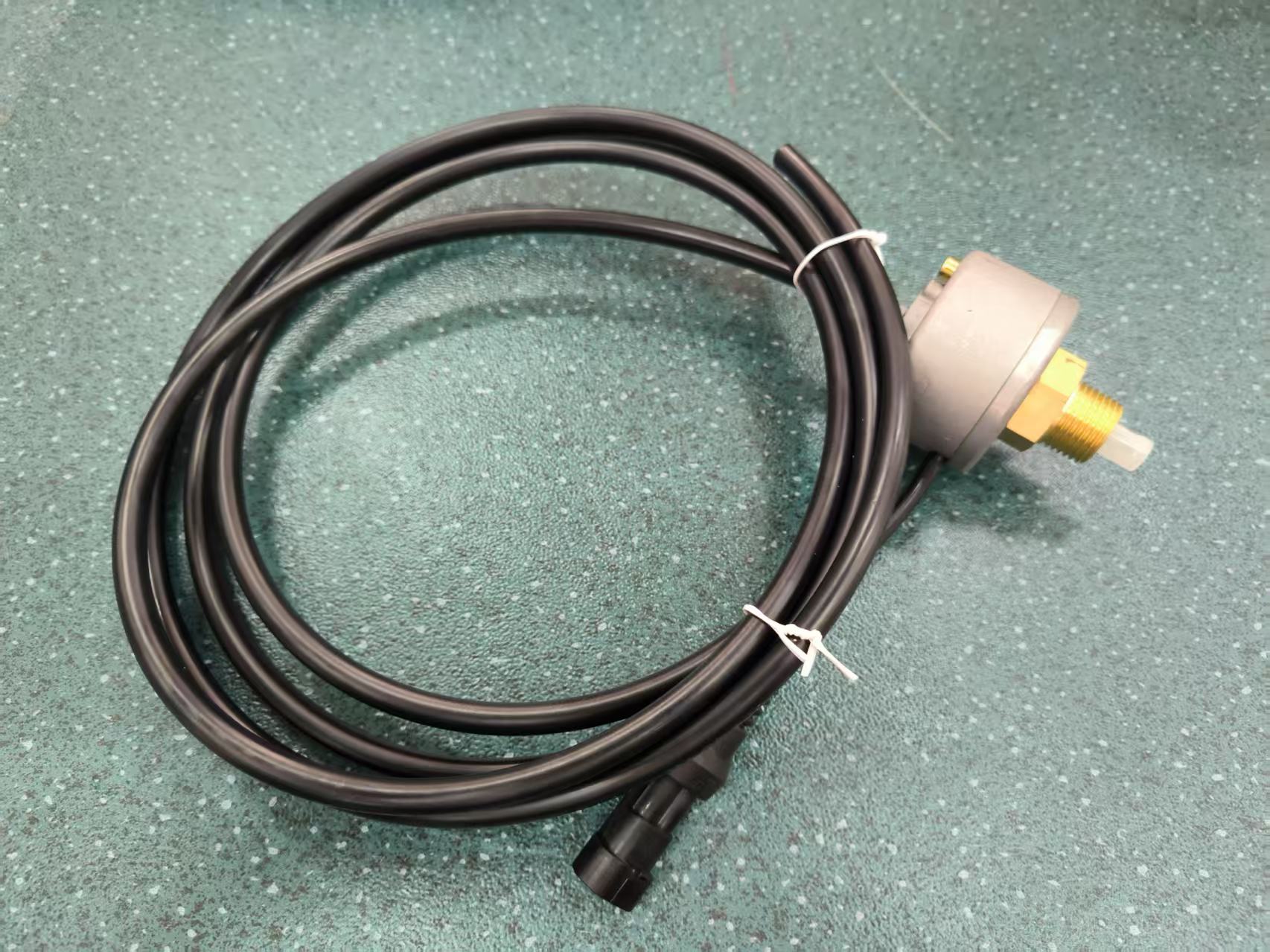 Tapered thread drain valve assembly (external lead)