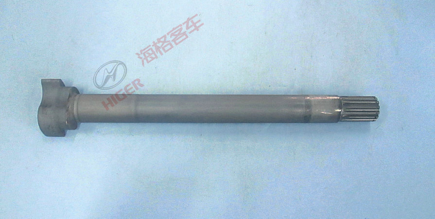 Rear left camshaft