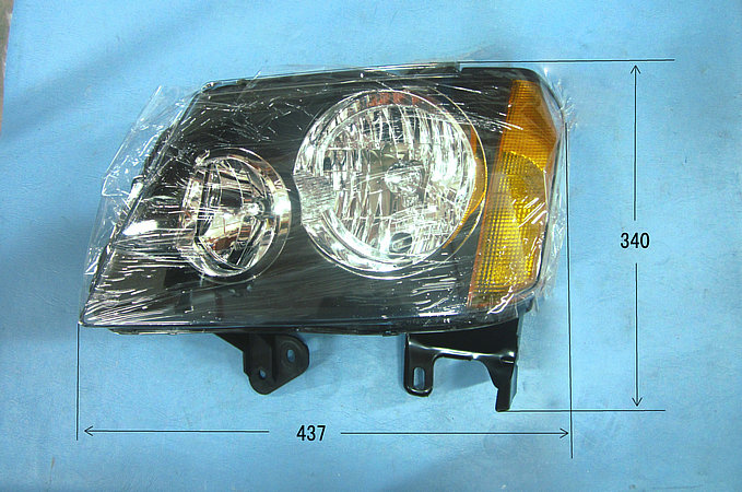Combination light (front left)