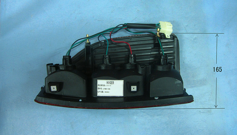 Combination light (back left)