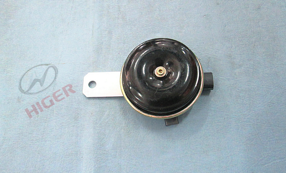 Electric speaker (bass)