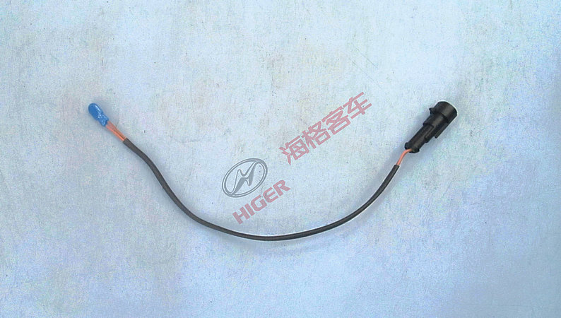 Sensor (temperature sensor)
