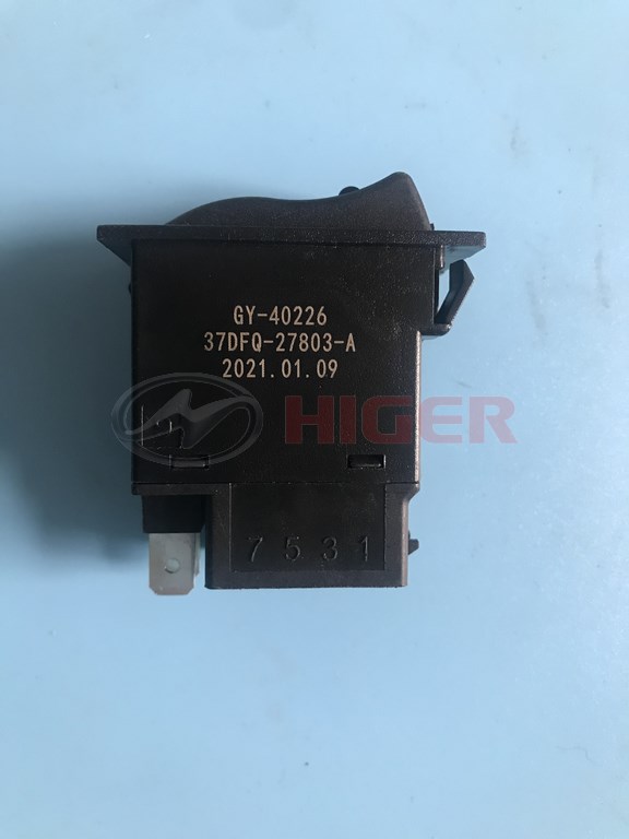 Rocker switch (snow mode switch)