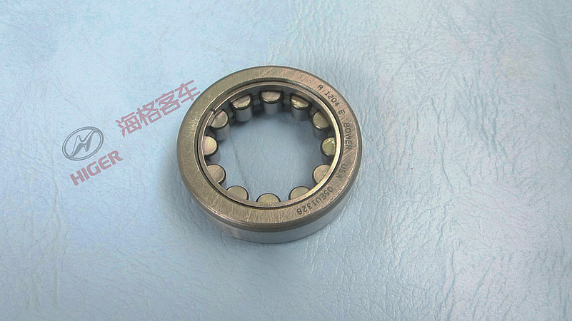 Rear bearing