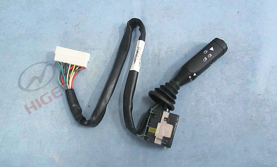 Combination switch (34DLV152-100-01)