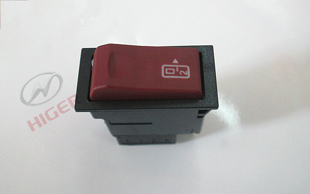 Rocker switch (rear passenger door)