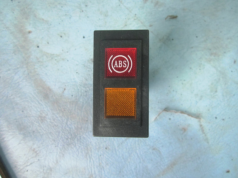 Indicator light (ABS fault)