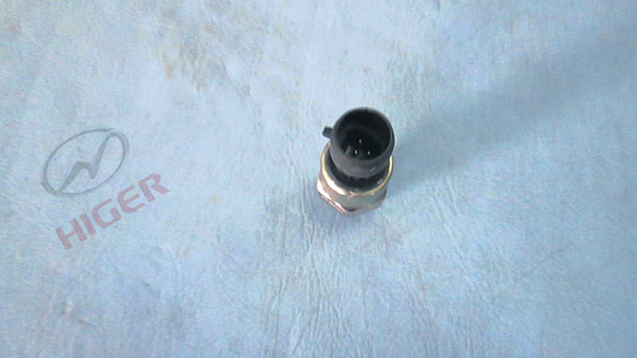 Sensor (air pressure)-1