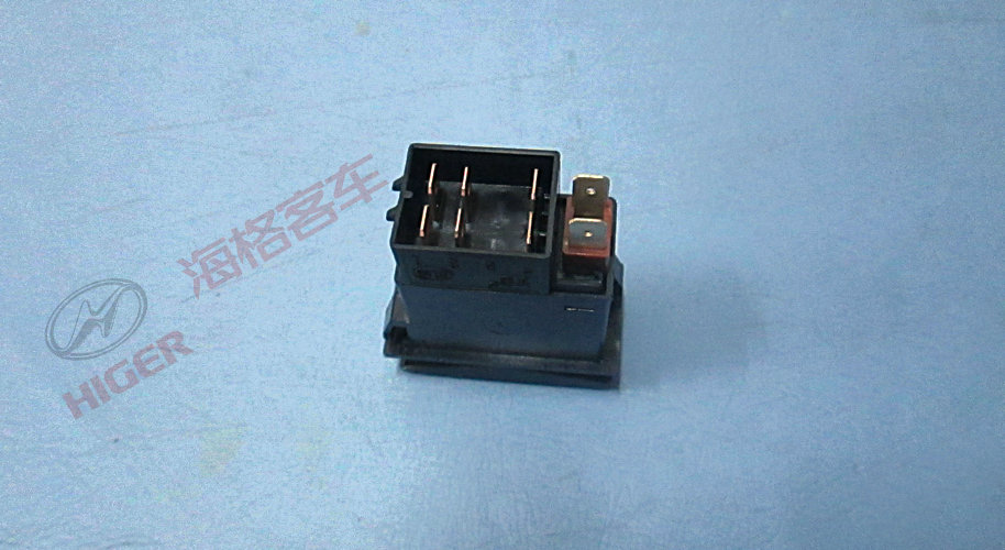 Switch (passenger door)