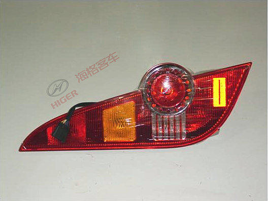 Left rear combination light