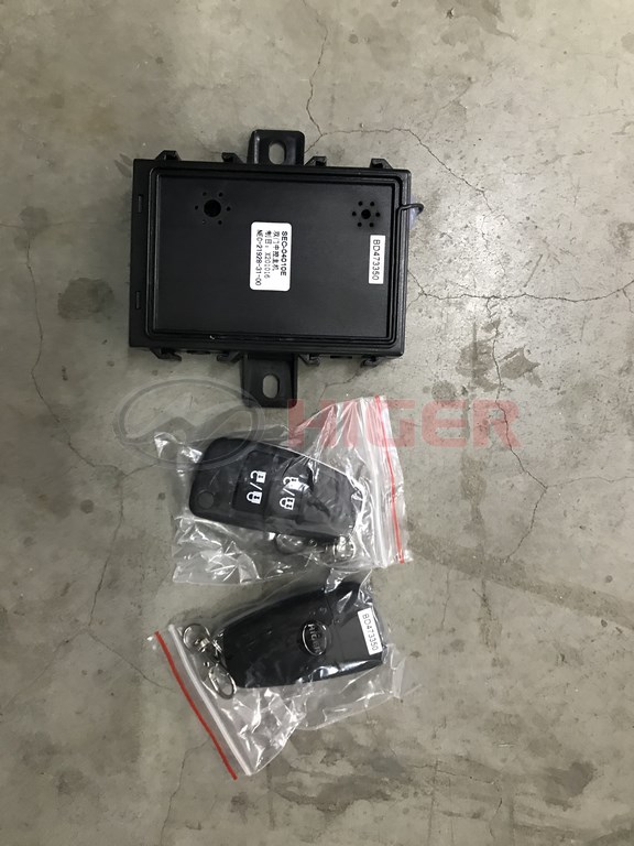 Дистанционное управление дверью (двойная дверь)