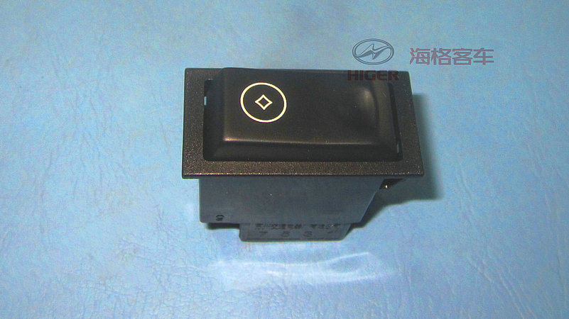 Rocker switch (coin machine flip switch)