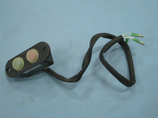 Waterproof door button switch