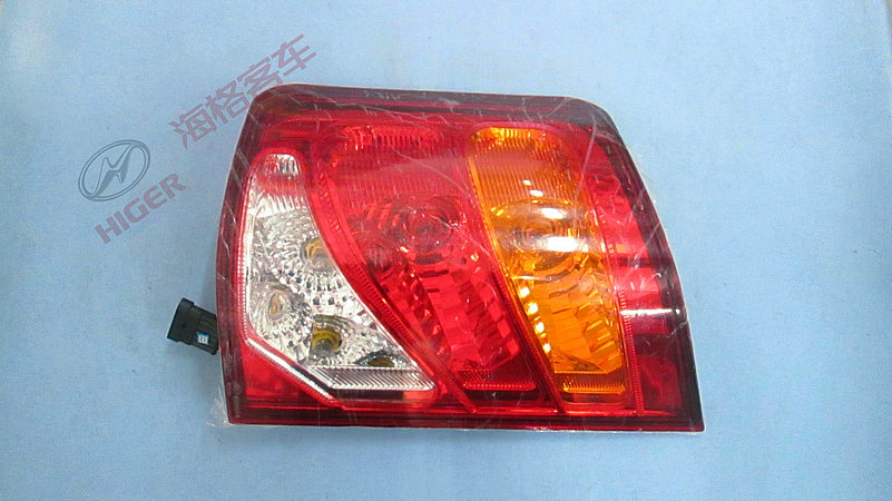 Left rear combination light