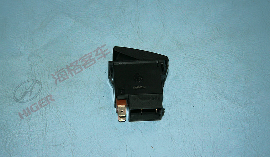 Rocker switch (ABS diagnosis)