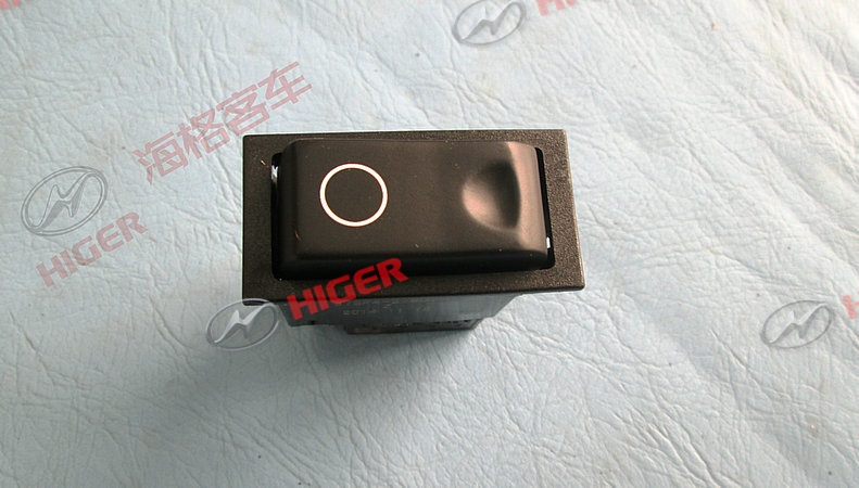 Rocker switch (main power switch)