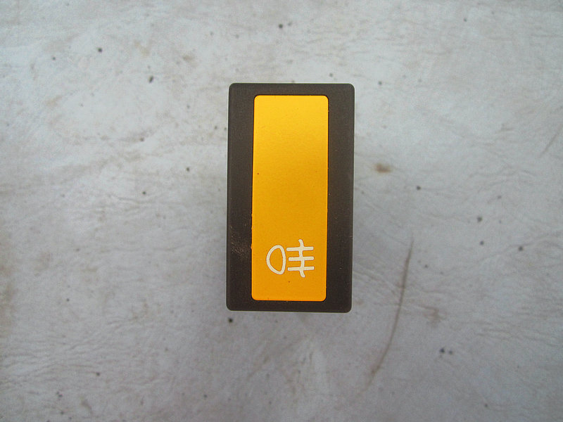Rocker switch (rear fog light)