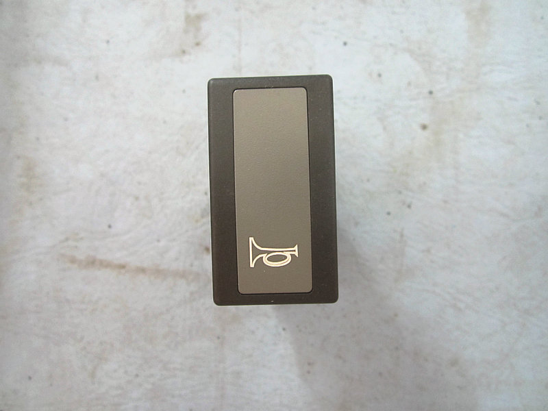 Rocker switch (speaker conversion)