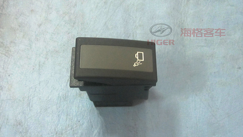 Rocker switch (trunk lamp)