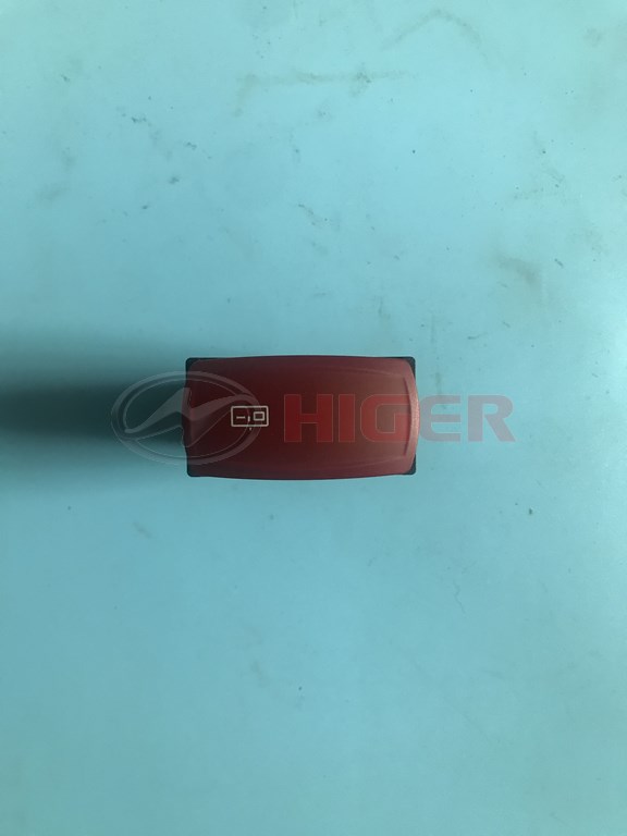 Rocker switch (door 1)