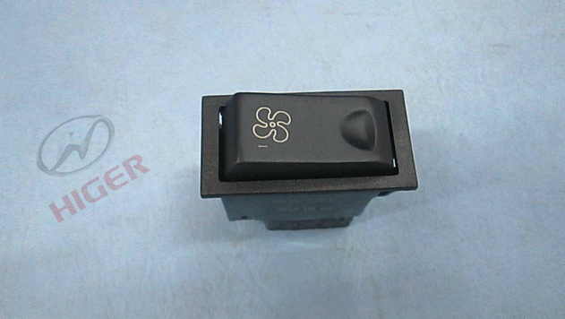 Rocker switch (driver fan)