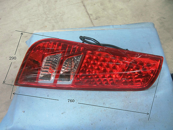 Left rear combination light