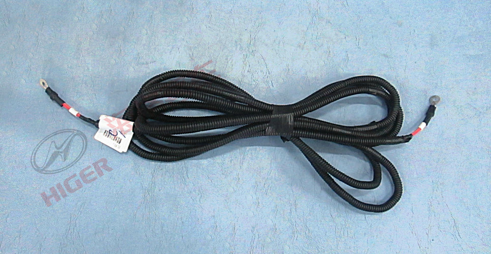 Power cord harness (Weichai Shuihanbao)