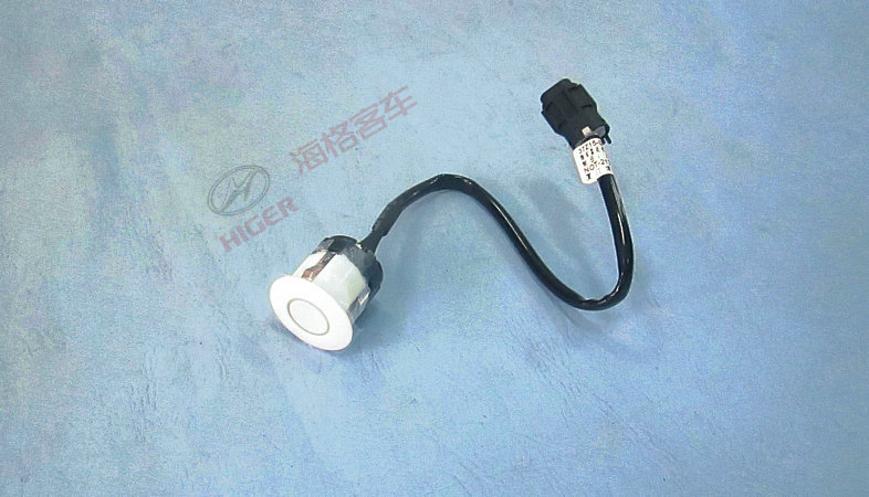 Sensor (Haginbai)