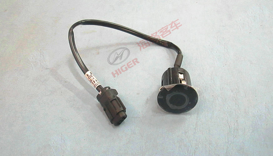 Capteur (King Kong Black)