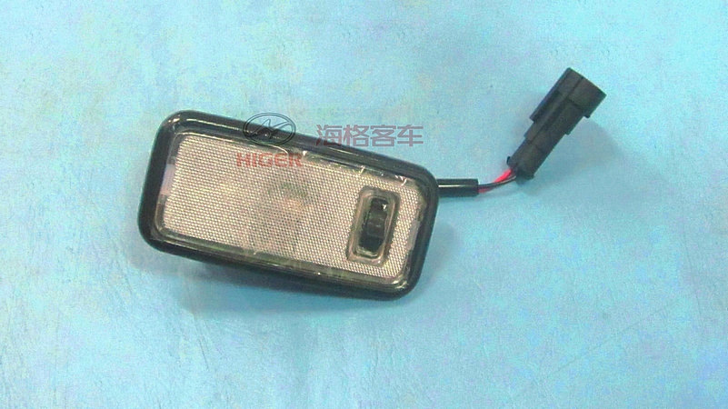 Stepping light (middle door)