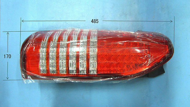 Combination light (back right)