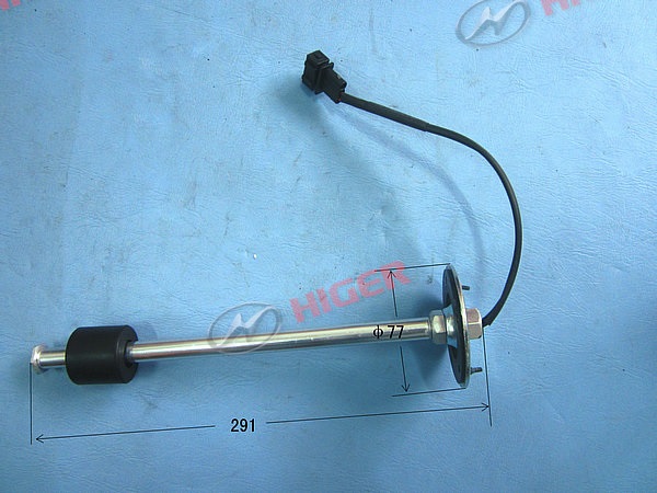 Capteur (combustible)