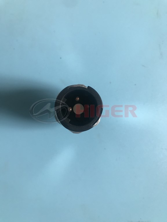 Capteur (capteur électronique de pression d'air VDO)-1