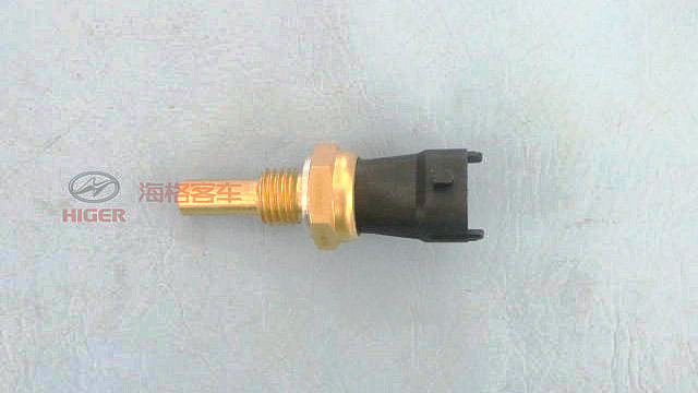 Temperature sensor