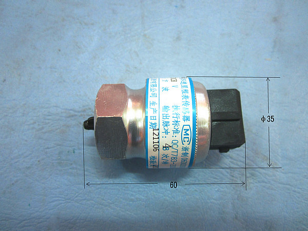 Capteur (vitesse du véhicule)