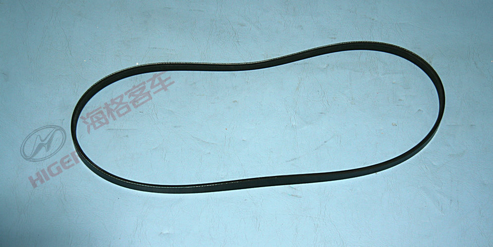 Steering oil pump belt