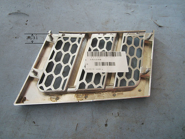 Grille (left headlight)