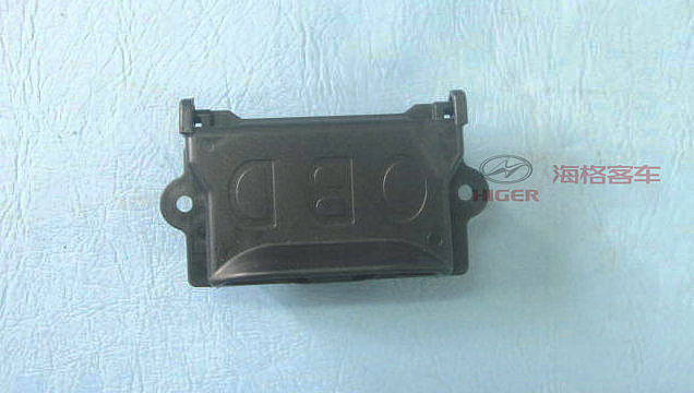 Access cover (OBD)