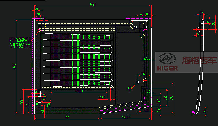 Side tail hatch door (left)